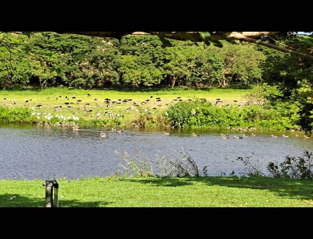 2HA VACANT LAND FOR SALE IN FAIRVIEW ESTATES
